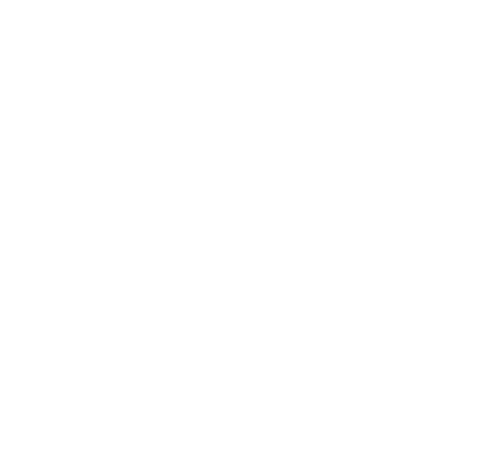 PD Fier Logo